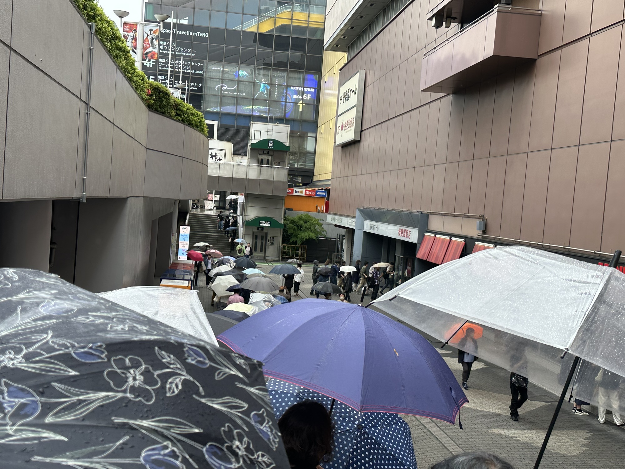 画像に alt 属性が指定されていません。ファイル名: img_5962.jpg