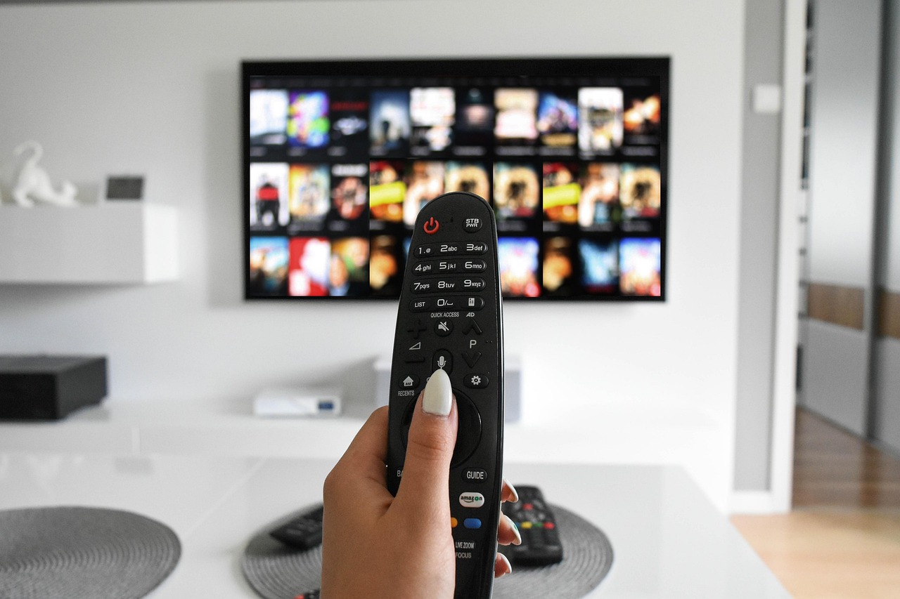 tv, watching, screen, remote control, room, office, channels, play, modern, technology, watching control, home, streaming, concept, video, netflix, entertainment, media, digital, film, presentation, network, searches, episode, netflix, netflix, netflix, netflix, netflix