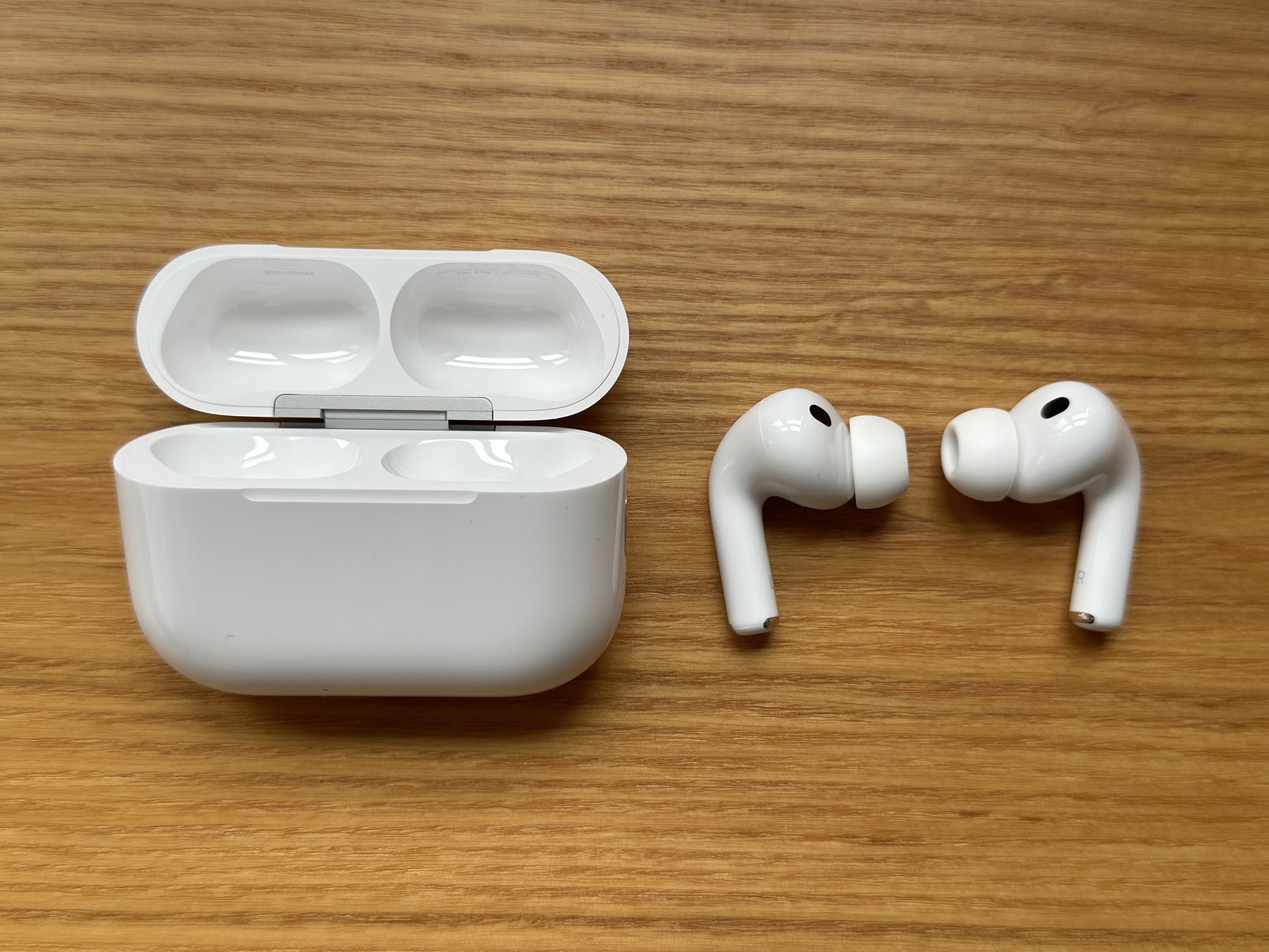 画像に alt 属性が指定されていません。ファイル名: img_0499.jpg