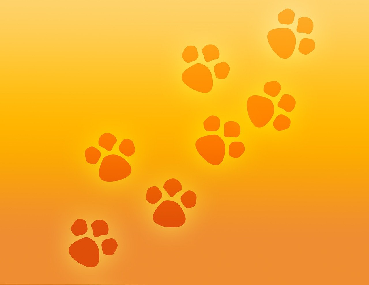 paw print, paws, prints, pet, dog, animal, cat, foot, footprint, black, puppy, track, white, dog paw, icon, pattern, silhouette, walk, design, trace, shape, sign, wildlife, bear, symbol, pawprint, mark, toe, canine, cartoon, hound, stamp, blue, green, gradient, path, travel, nature, veterinary, outdoor, pup, doggy, wild, banner, sticker, love, heart, ornament, vet, orange nature, orange love, orange heart, orange cat, orange travel, orange dog, orange animals, orange cartoon, orange walking, orange banner, orange design, orange pattern, orange puppy, orange pets, orange natural, orange path, paw print, paw print, paw print, paw print, paws, dog, cat, dog paw, dog paw, dog paw, bear, pawprint, pawprint, cartoon, veterinary, veterinary, veterinary, sticker, vet, vet, vet, vet, vet, orange cat