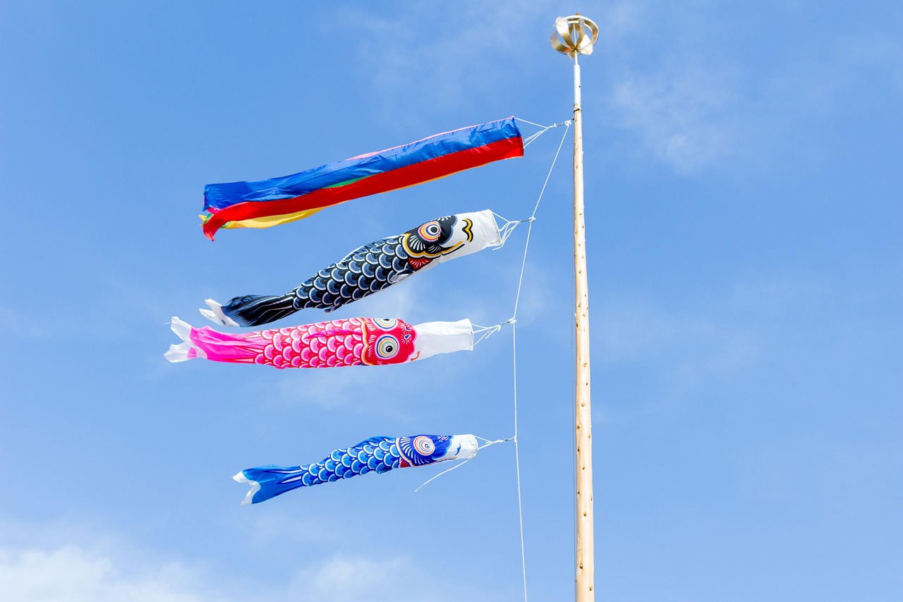 carp streamer, may, sekku, children's day, japan, blue sky, flag, events, black, pink, blue, carp streamer, carp streamer, carp streamer, carp streamer, carp streamer, sekku, japan