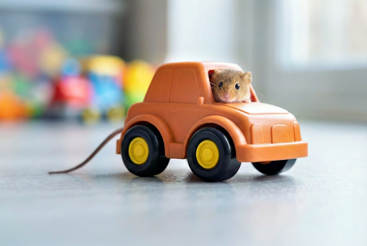 mouse, toy car, cute, playful, animal, nature, small, sweet, imaginative, pet, orange, vehicle, miniature, rodent, pleasure, driver, childhood, trip, within, bright, joy, ai generated